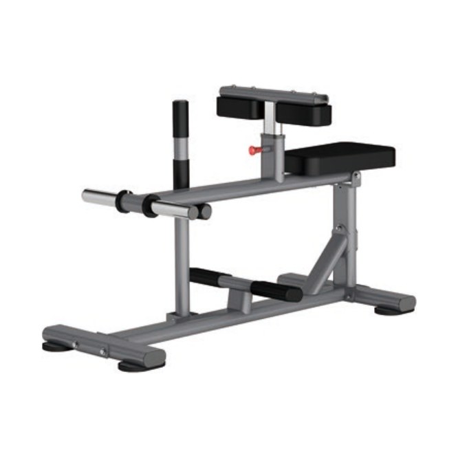 Seated Calf Raise