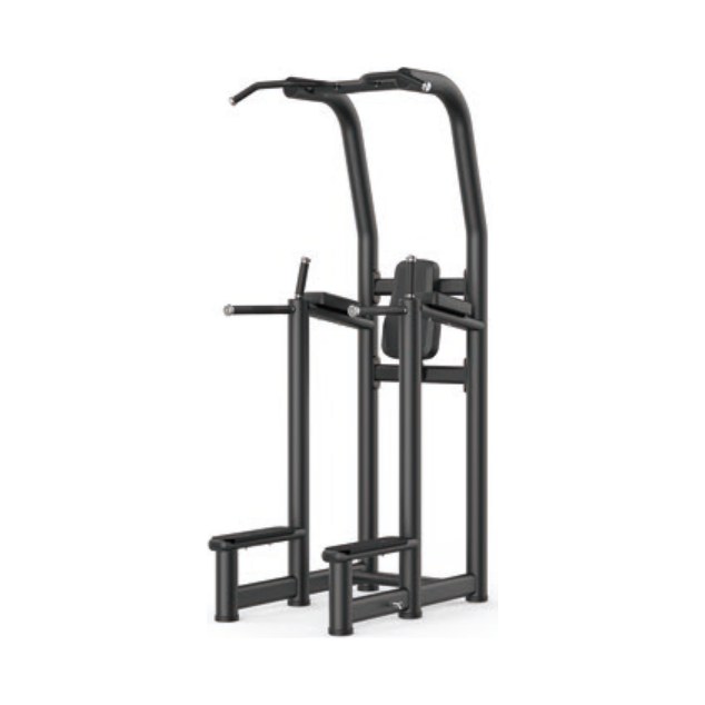 Multi Pull Up/Dip Rack