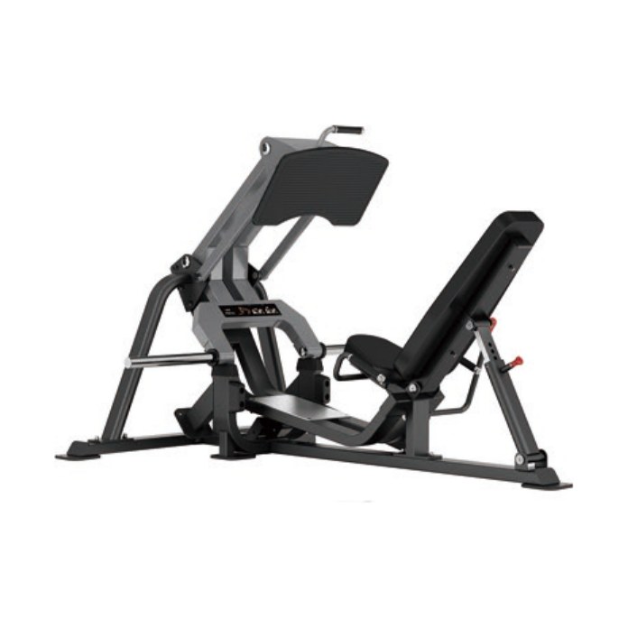 V Leg Press