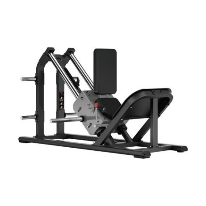 Seated Hack Squat