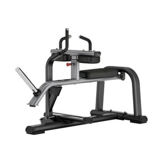 Seated Calf Raise