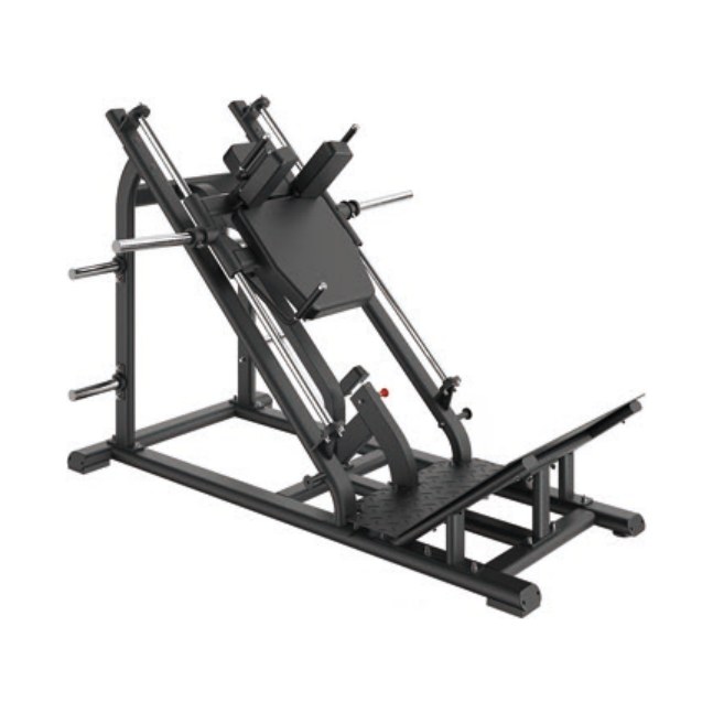 Hack Squat