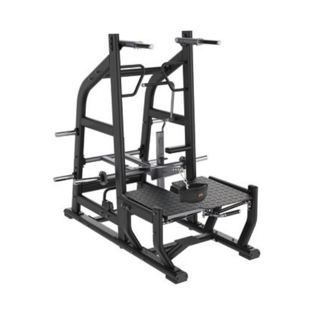 Multi Belt Squat